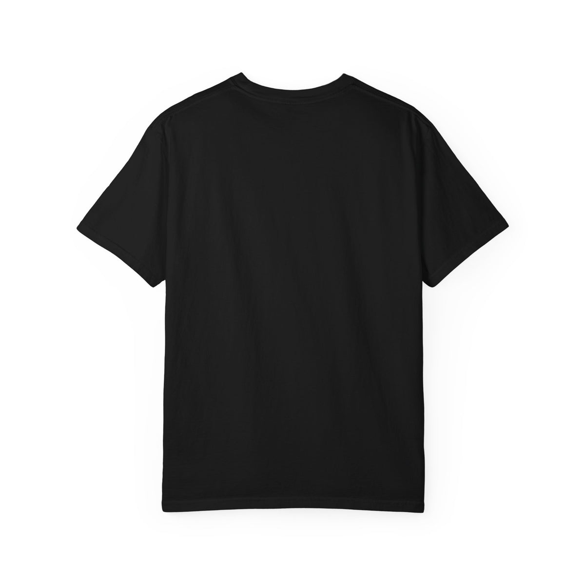 Xorley Adventure Graphic T-Shirt — Scenic Eagle & Explorer Design