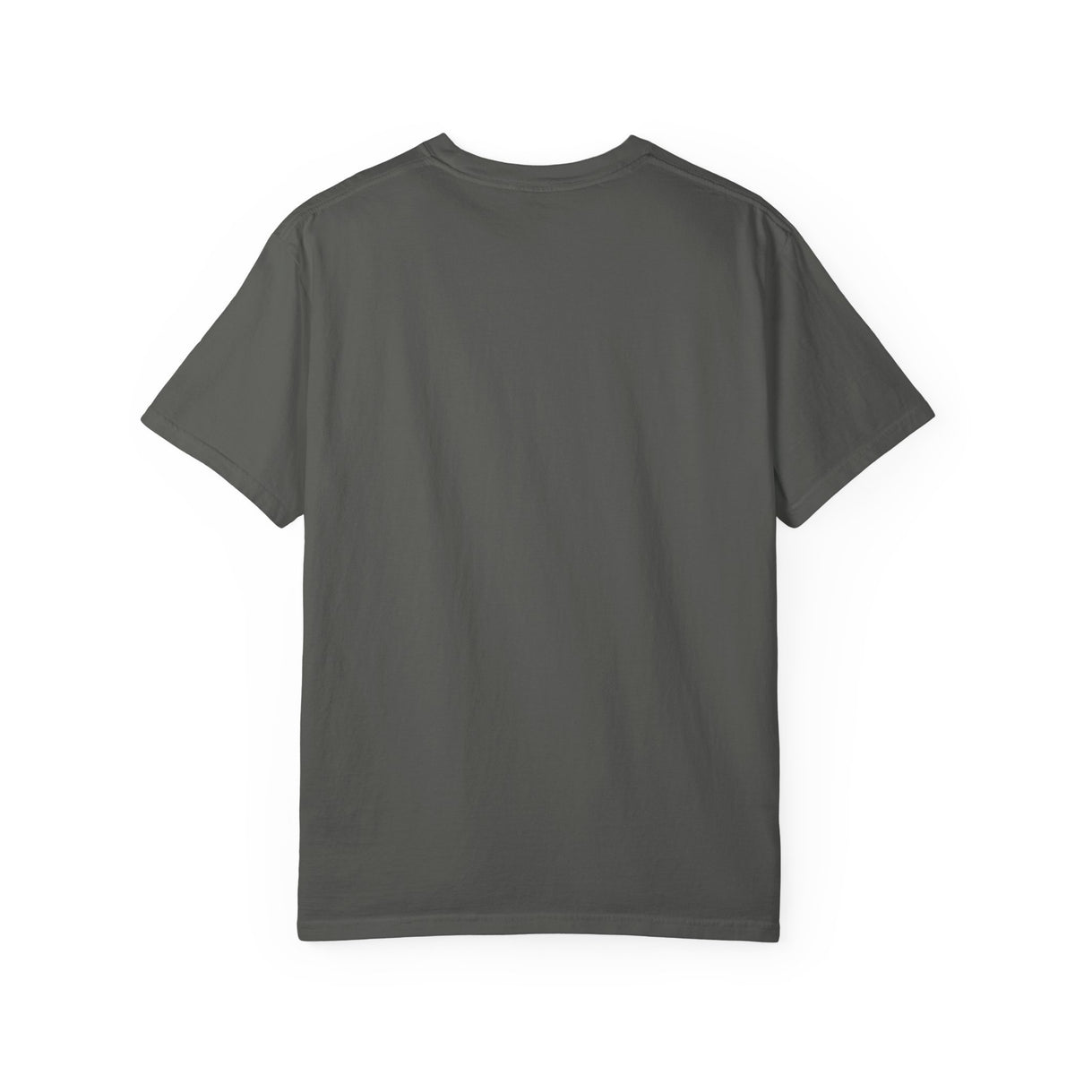 Xorley Adventure Graphic T-Shirt — Scenic Eagle & Explorer Design