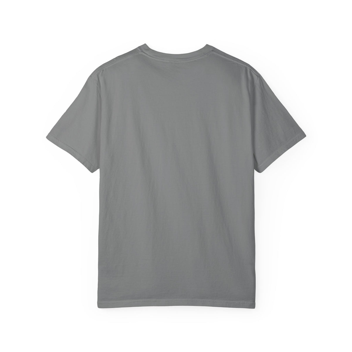 Xorley Adventure Graphic T-Shirt — Scenic Eagle & Explorer Design