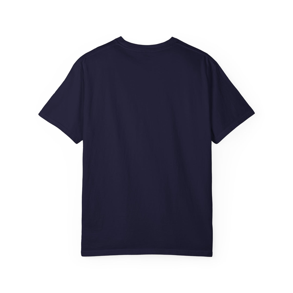 Xorley Adventure Graphic T-Shirt — Scenic Eagle & Explorer Design